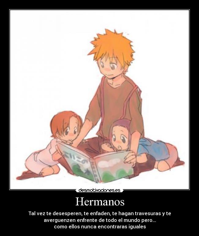 carteles hermanos desmotivaciones