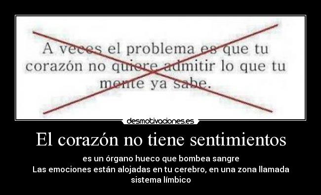 carteles corazon sentimientos corazon tiene sentimientos desmotivaciones