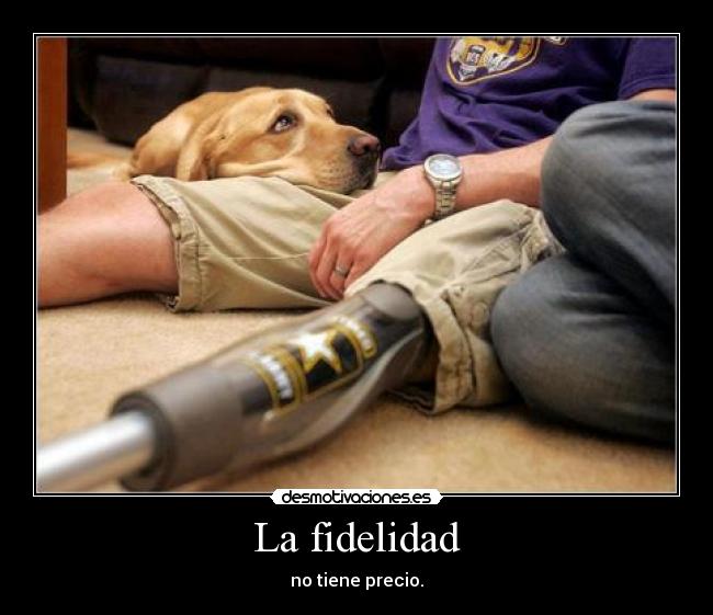 La fidelidad - 
