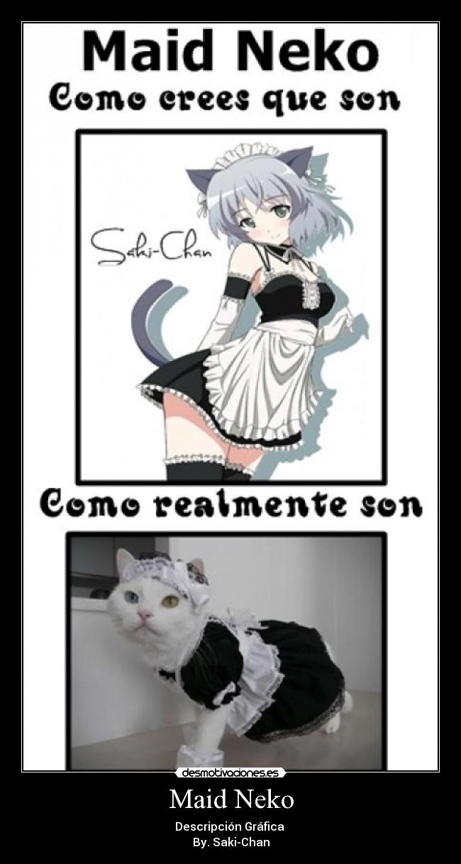 carteles anime14 desmotivaciones