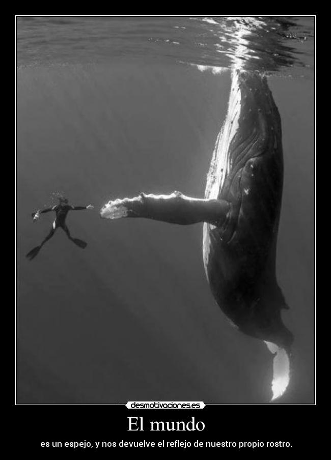 El mundo - es un espejo, y nos devuelve el reflejo de nuestro propio rostro.