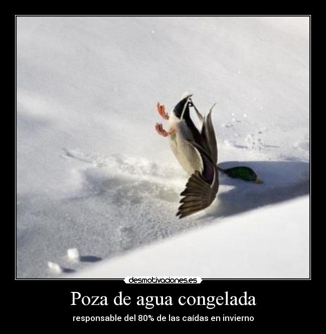 carteles invierno desmotivaciones