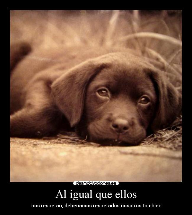 Al igual que ellos - 