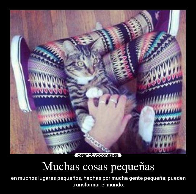 Muchas cosas pequeñas - en muchos lugares pequeños, hechas por mucha gente pequeña; pueden
transformar el mundo.