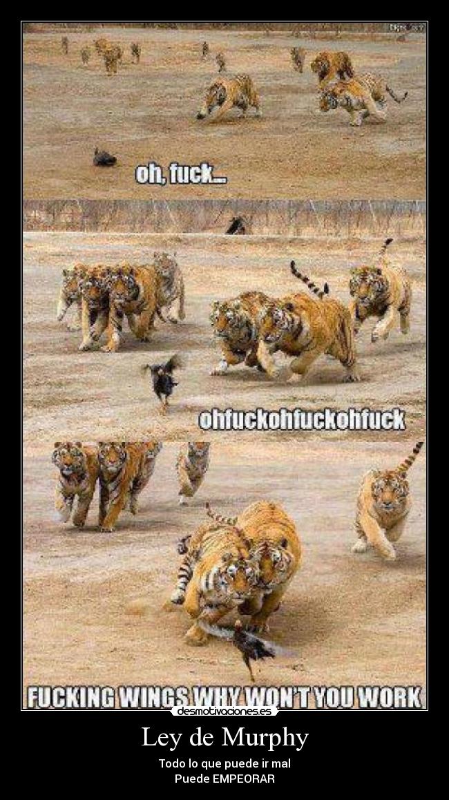 Ley de Murphy - Todo lo que puede ir mal
Puede EMPEORAR