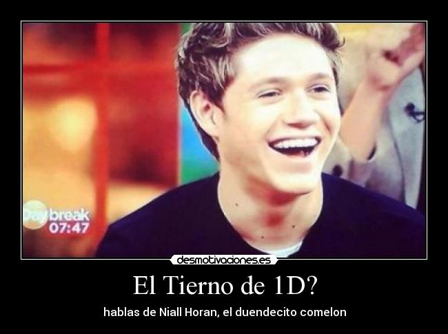 El Tierno de 1D? - hablas de Niall Horan, el duendecito comelon