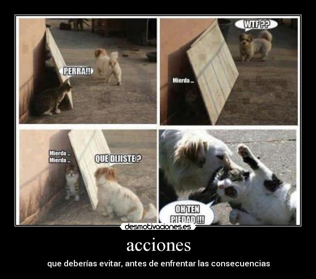 acciones - que deberías evitar, antes de enfrentar las consecuencias