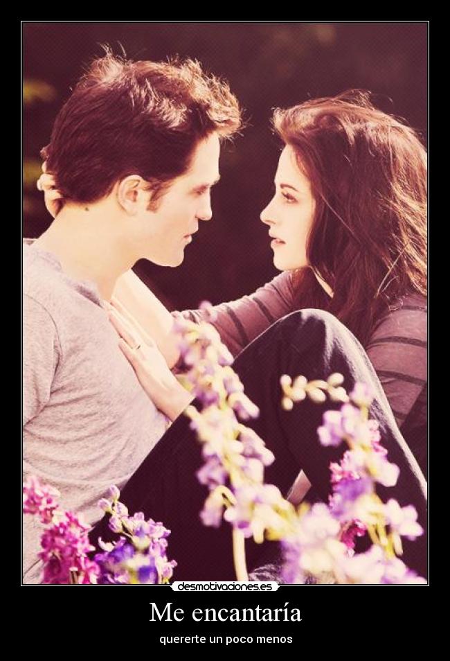 Me encantaría - quererte un poco menos