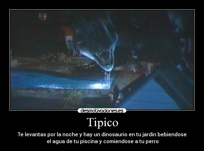 Tipico - Te levantas por la noche y hay un dinosaurio en tu jardin bebiendose
 el agua de tu piscina y comiendose a tu perro