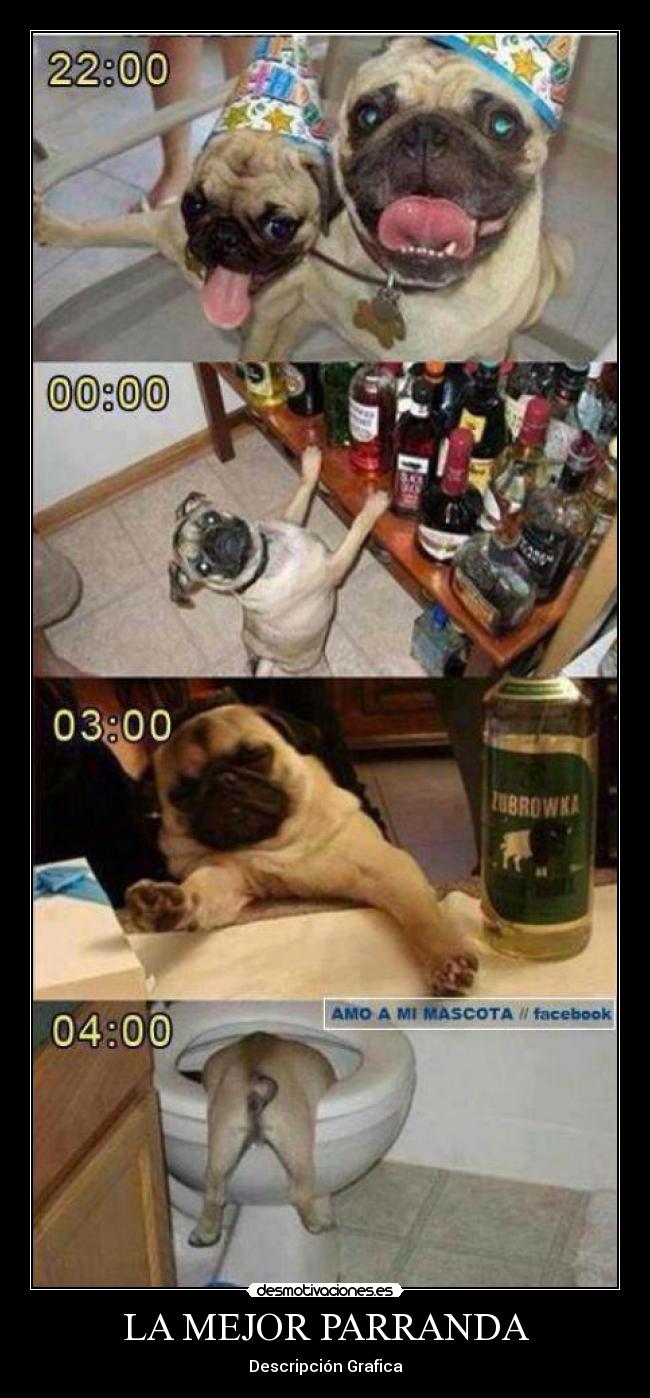 LA MEJOR PARRANDA - Descripción Grafica