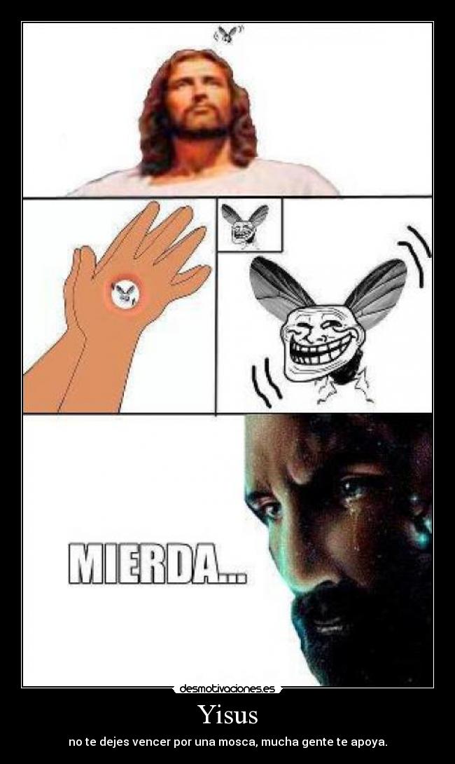 Yisus - no te dejes vencer por una mosca, mucha gente te apoya.
