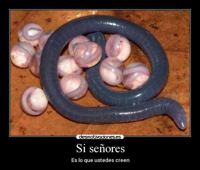 carteles lombrices wtf lirico mundo desmotivaciones