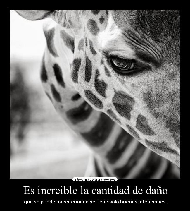 Es increible la cantidad de daño - que se puede hacer cuando se tiene solo buenas intenciones.