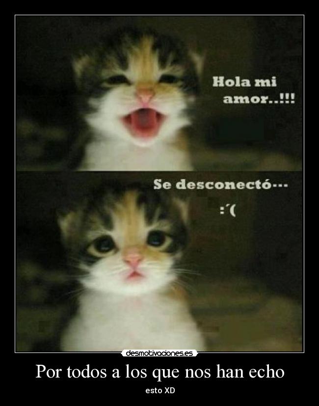 carteles por todos los que nos han echo desmotivaciones