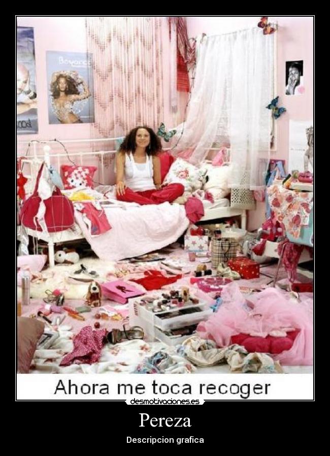 Pereza - Descripcion grafica