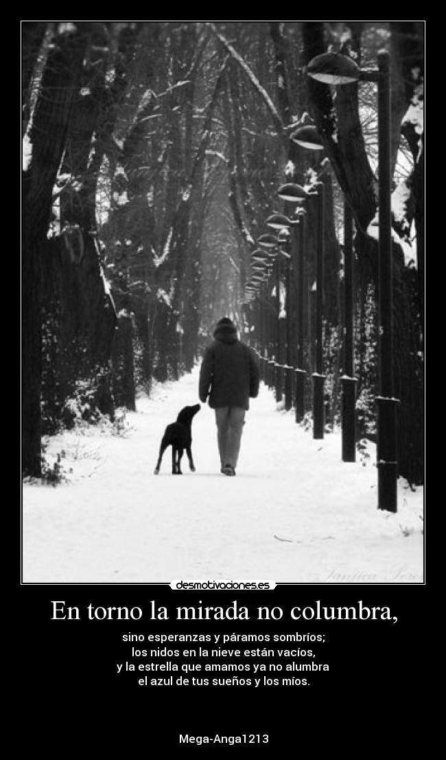 En torno la mirada no columbra, - sino esperanzas y páramos sombríos;
los nidos en la nieve están vacíos,
y la estrella que amamos ya no alumbra
el azul de tus sueños y los míos.
Mega-Anga1213