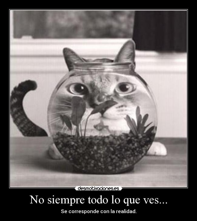 No siempre todo lo que ves... - Se corresponde con la realidad.