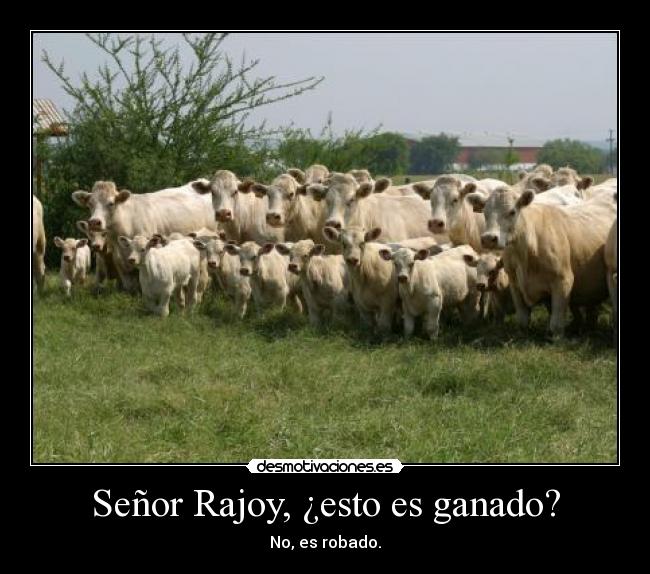 Señor Rajoy, ¿esto es ganado? -