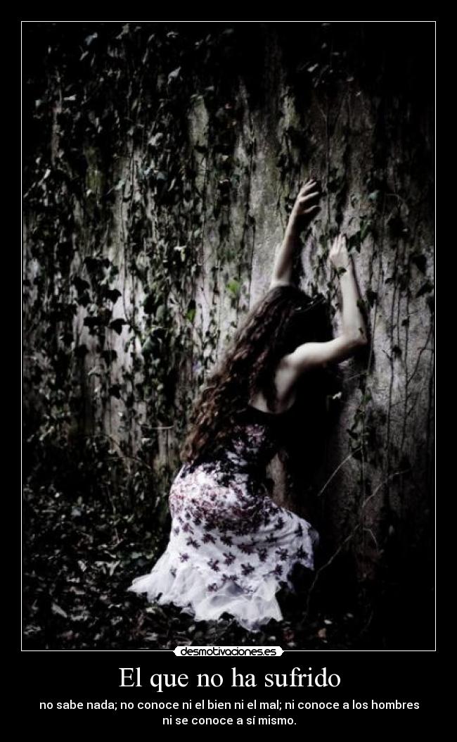 El que no ha sufrido - no sabe nada; no conoce ni el bien ni el mal; ni conoce a los hombres
ni se conoce a sí mismo.
