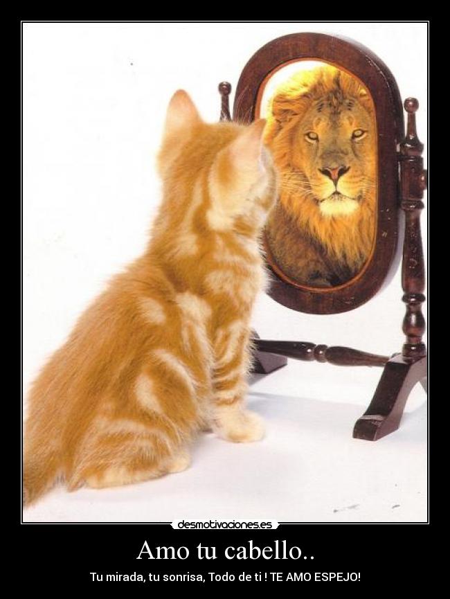 Amo tu cabello.. - Tu mirada, tu sonrisa, Todo de ti ! TE AMO ESPEJO!