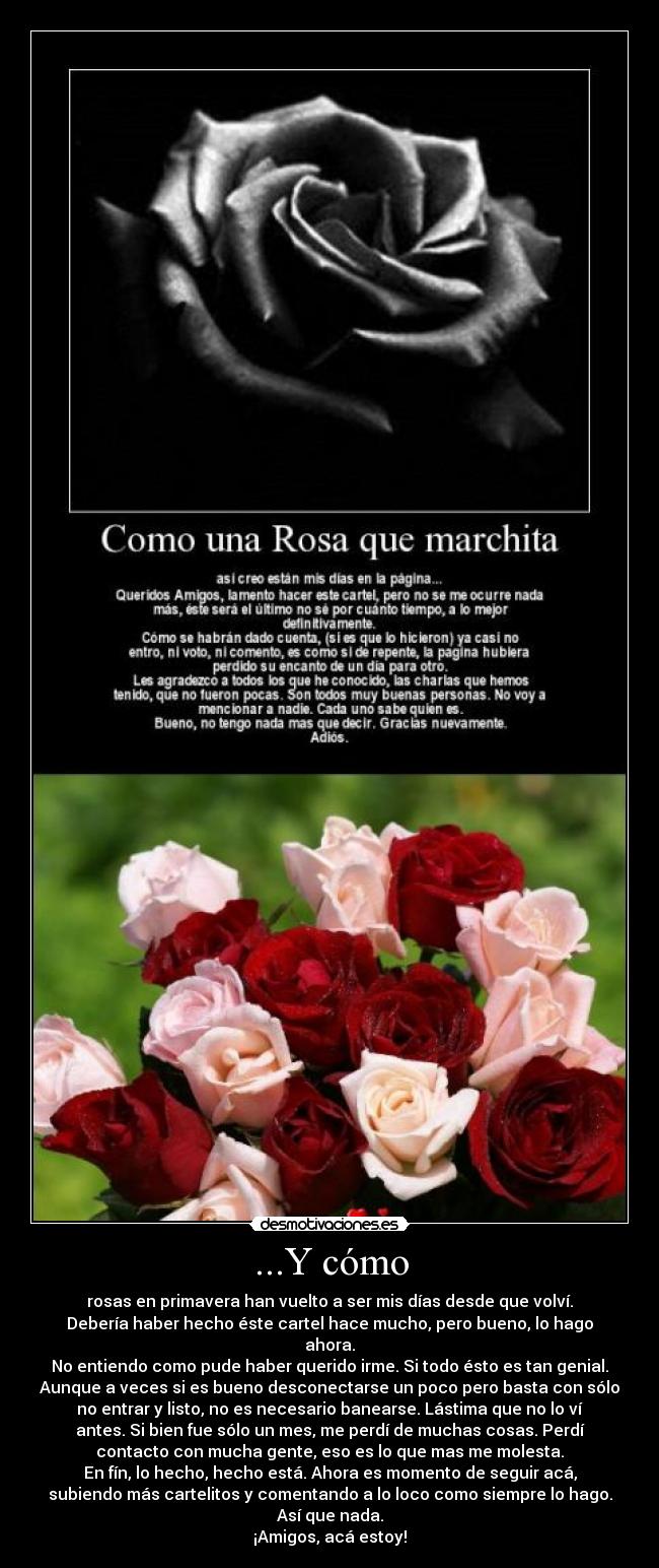 carteles soy fenix sucutrule esto fue ano pasado pero recien acuerdo hacerlo lol desmotivaciones