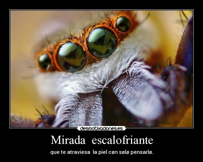 Mirada  escalofriante - que te atraviesa  la piel cøn sølø pensarlø.