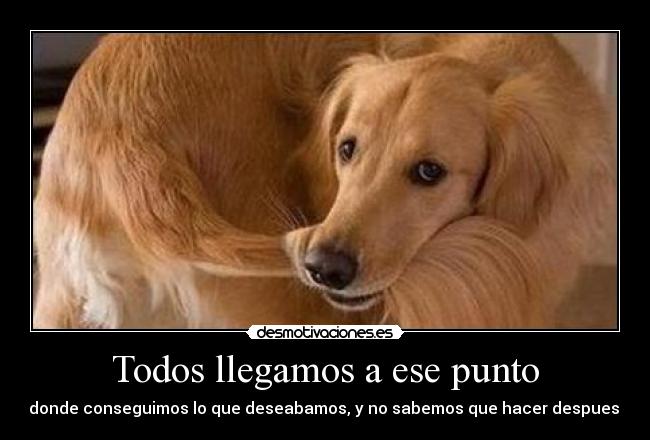 carteles dcdc desmotivaciones