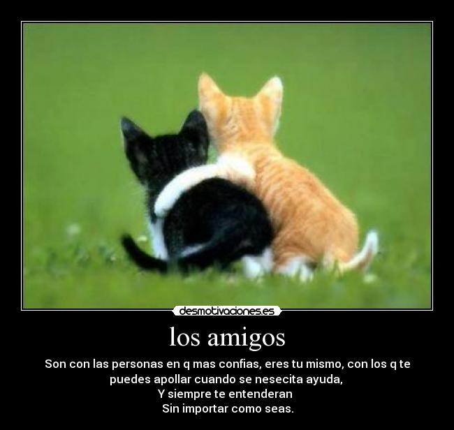 los amigos - Son con las personas en q mas confias, eres tu mismo, con los q te
puedes apollar cuando se nesecita ayuda,
Y siempre te entenderan
Sin importar como seas.