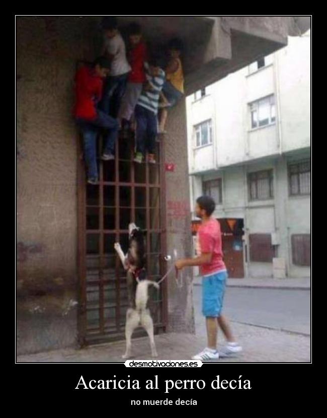 Acaricia al perro decía - no muerde decía