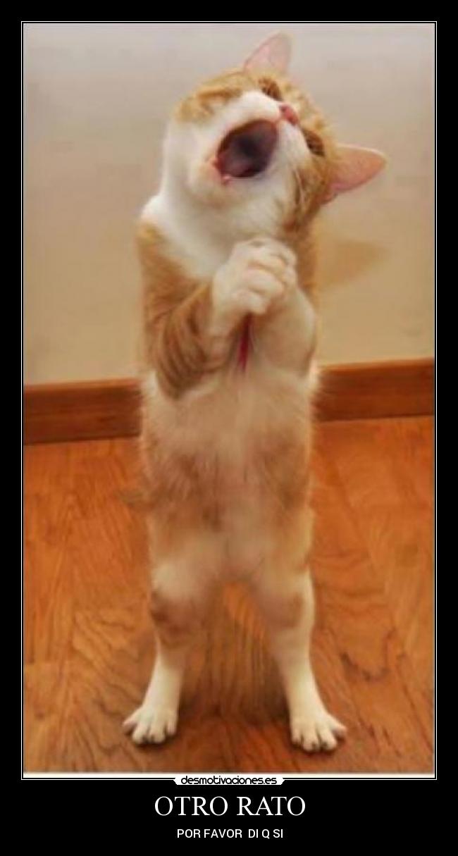 OTRO RATO - POR FAVOR DI Q SI