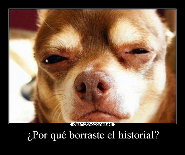¿Por qué borraste el historial? - 