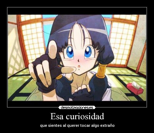 Esa curiosidad - que sientes al querer tocar algo extraño