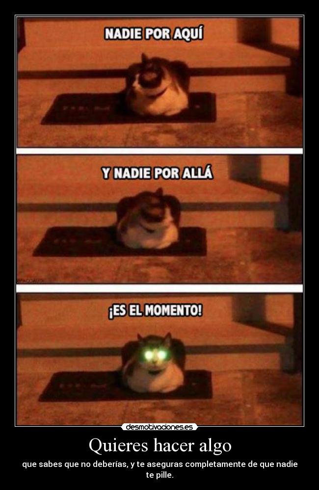 carteles voy matarteee muajajajajaja desmotivaciones