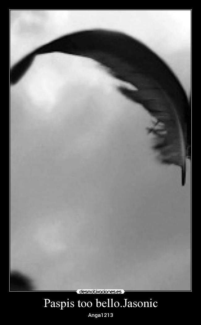 Paspis too bello.Jasonic - Anga1213
