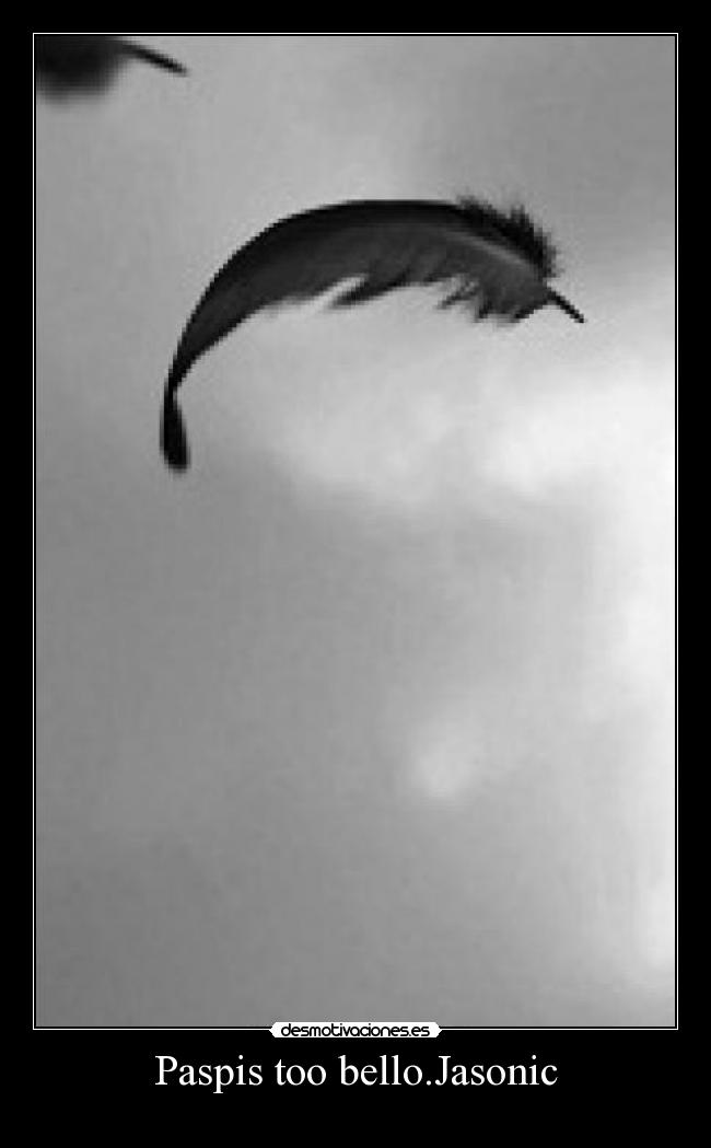 Paspis too bello.Jasonic -