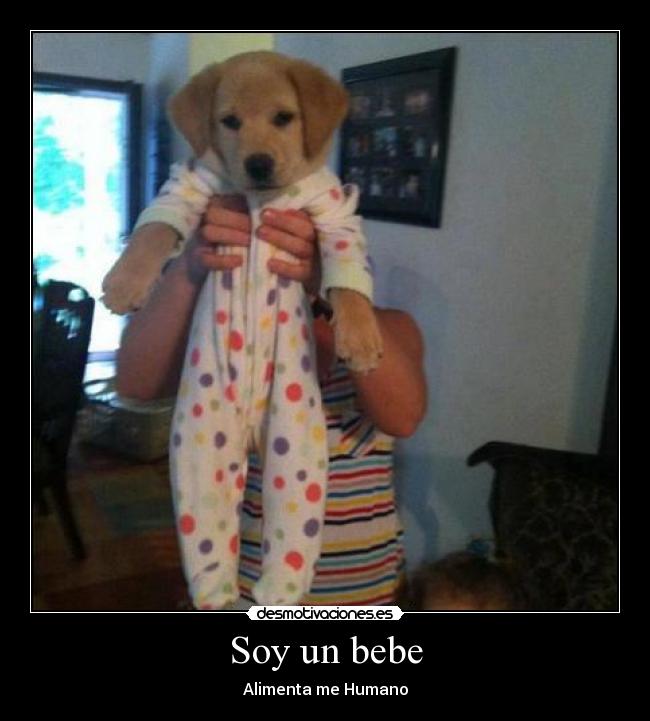 Soy un bebe -