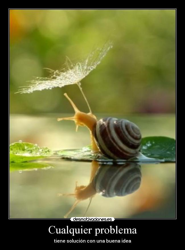 Cualquier problema - tiene solución con una buena idea