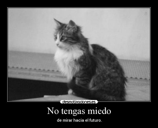No tengas miedo -