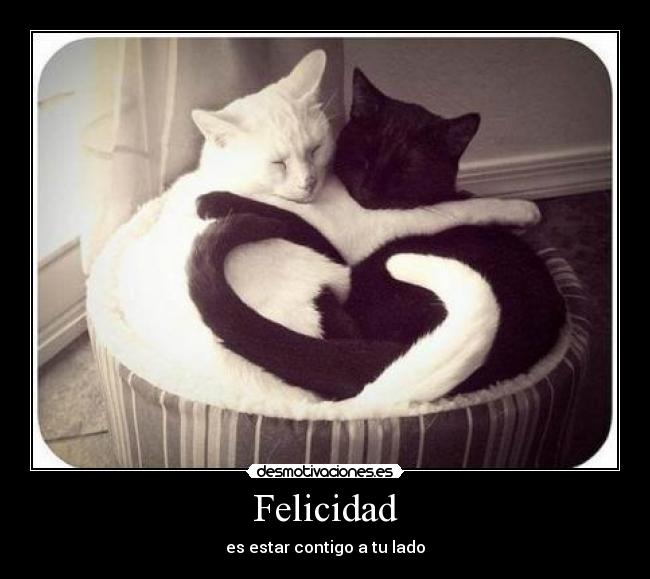 Felicidad - 