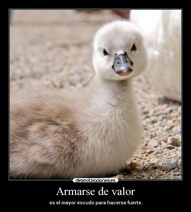 Armarse de valor - 