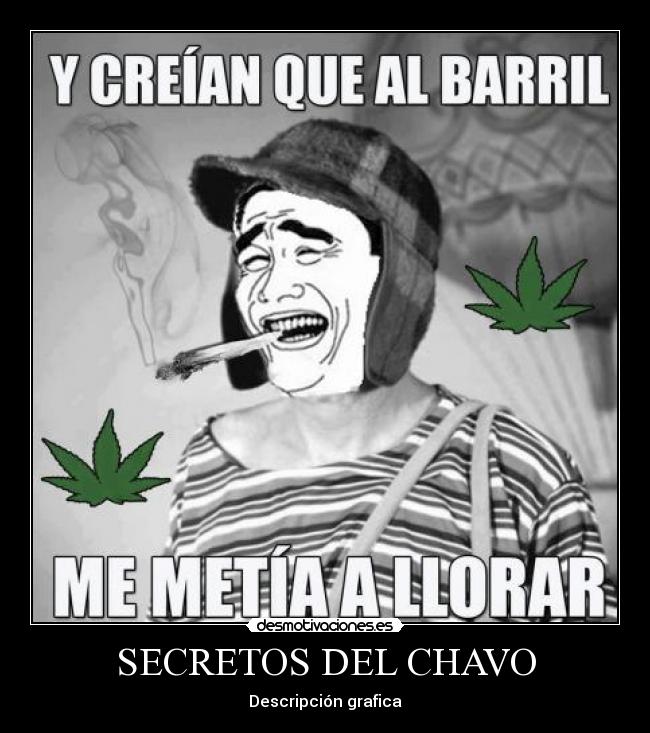 SECRETOS DEL CHAVO - Descripción grafica
