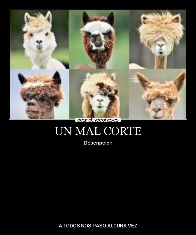 UN MAL CORTE - Descripción
A TODOS NOS PASO ALGUNA VEZ