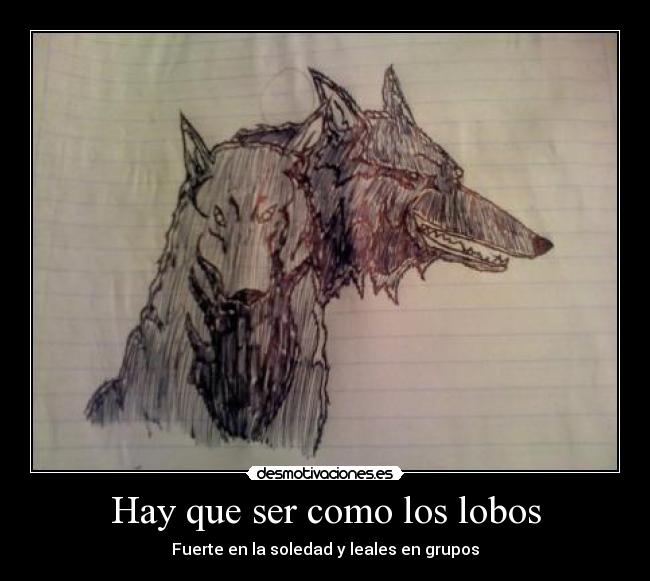 carteles lobo desmotivaciones