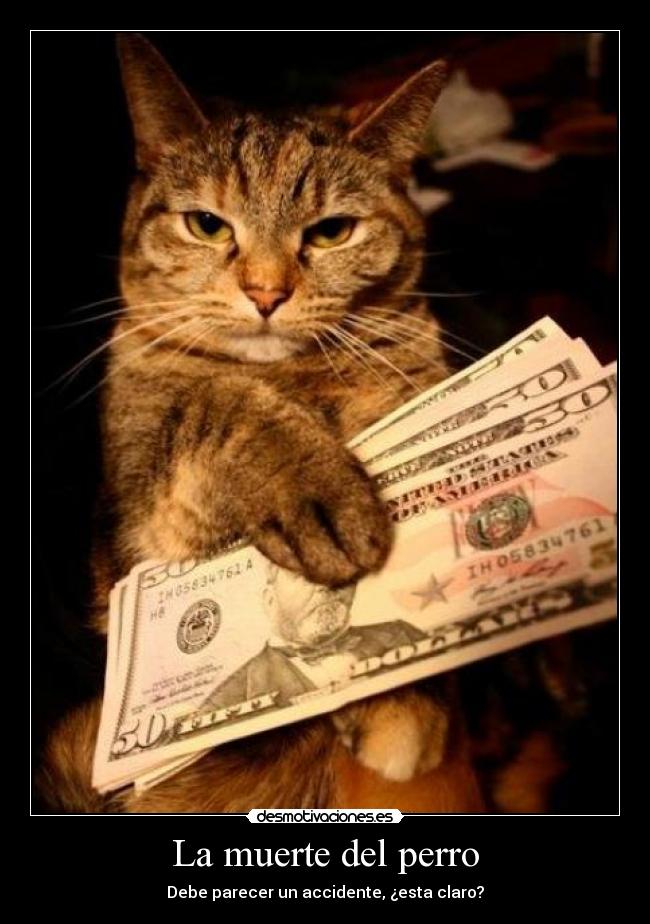 La muerte del perro -