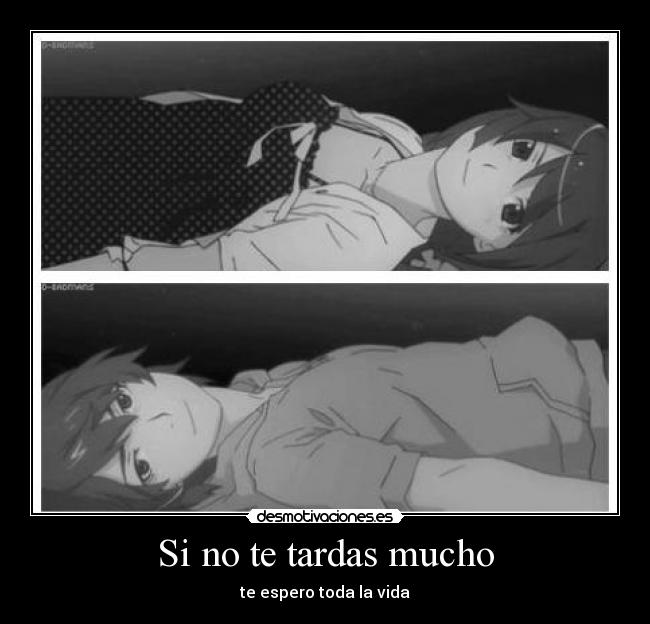 Si no te tardas mucho - te espero toda la vida