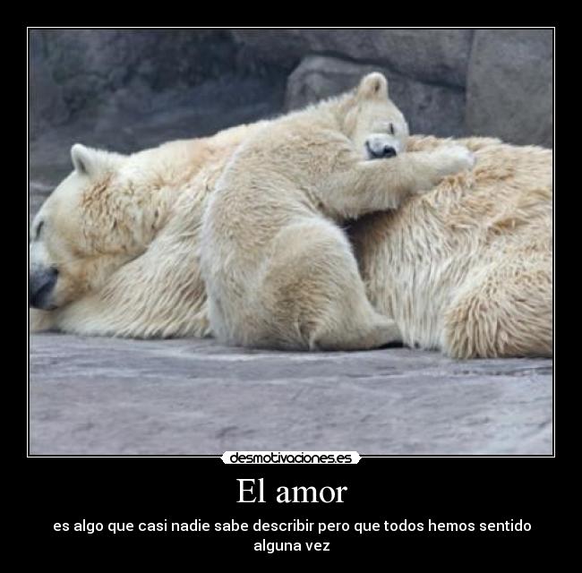El amor - es algo que casi nadie sabe describir pero que todos hemos sentido alguna vez