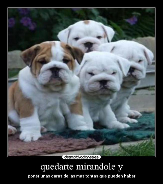 quedarte mirandole y -