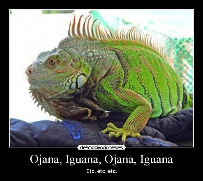 carteles kdekilo ojana iguana ojana iguana ojana iguana ojana iguana hawayyyyy desmotivaciones