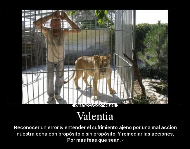 carteles reconcer error entender sufrimiento ajeno remediar una mala accion curar corazon con amor desmotivaciones