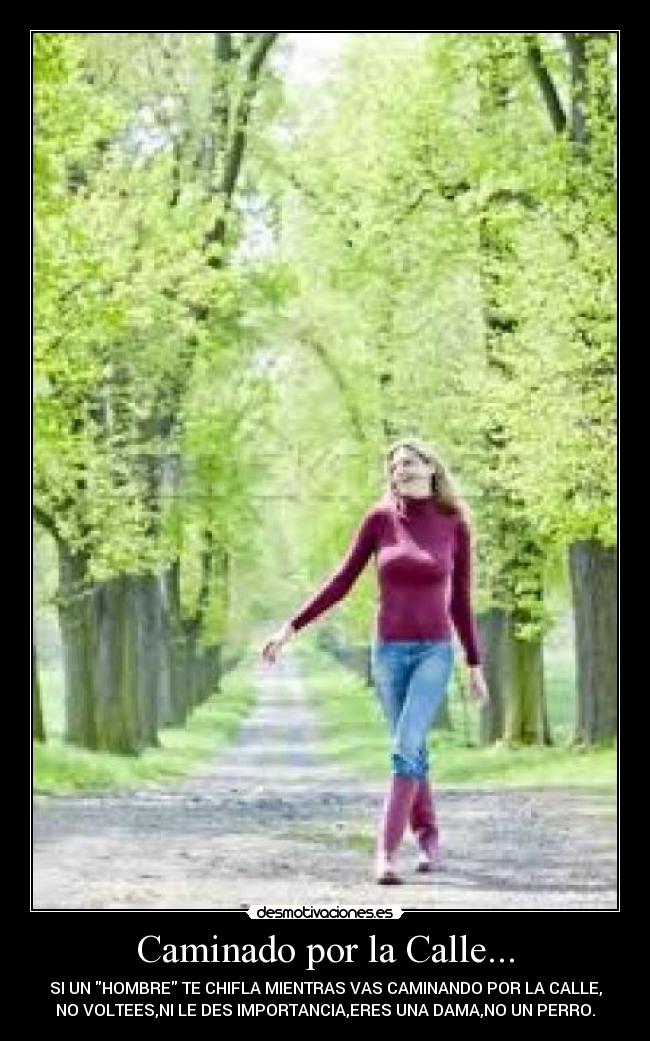 Caminado por la Calle... - 